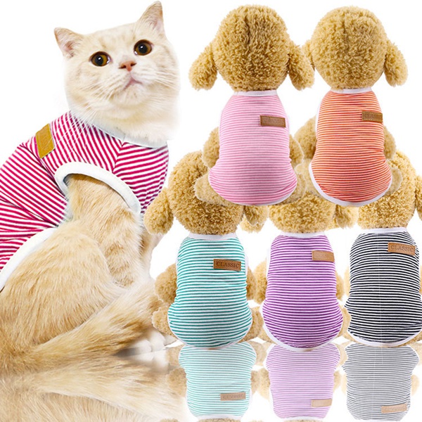 Pet Supplies